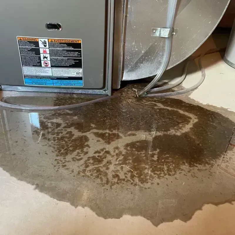 Appliance Leak Cleanup in Elburn, IL